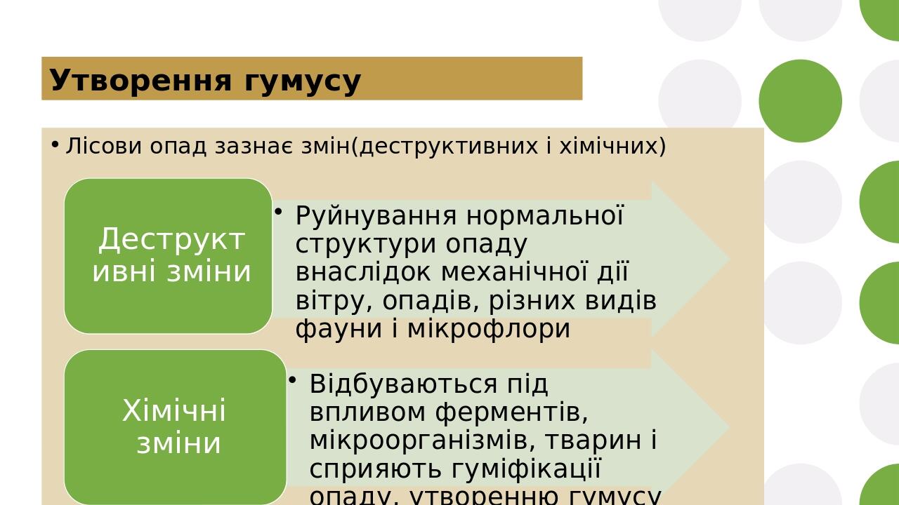 Утворення гумусу Лісови опад зазнає змін(деструктивних і хімічних)
