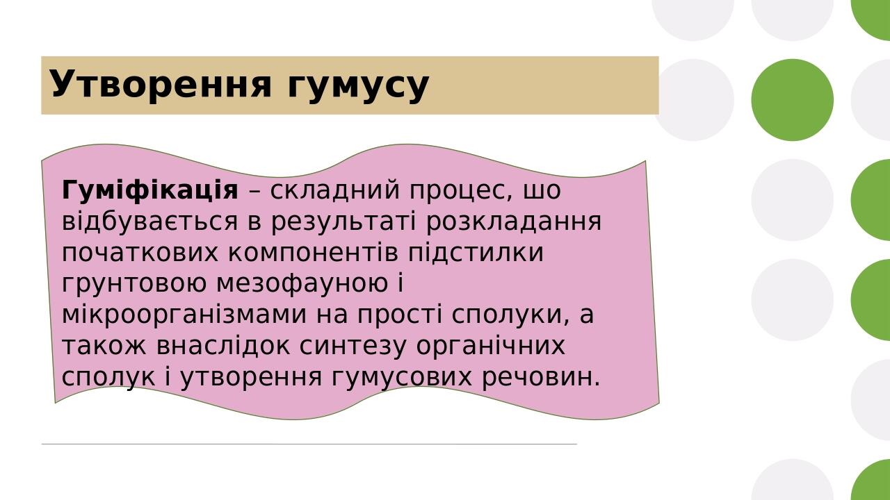 Утворення гумусу Гуміфікація – складний процес, шо відбувається в результаті розкладання початкових компонентів підстилки грунтовою мезофауною і мі...