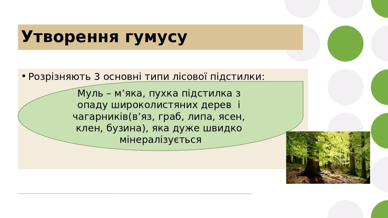 Утворення гумусу Розрізняють 3 основні типи лісової підстилки: Муль – м’яка, пухка підстилка з опаду широколистяних дерев і чагарників(в’яз, граб, ...