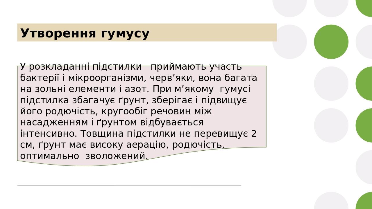 Утворення гумусу У розкладанні підстилки приймають участь бактерії і мікроорганізми, черв’яки, вона багата на зольні елементи і азот. При м’якому г...