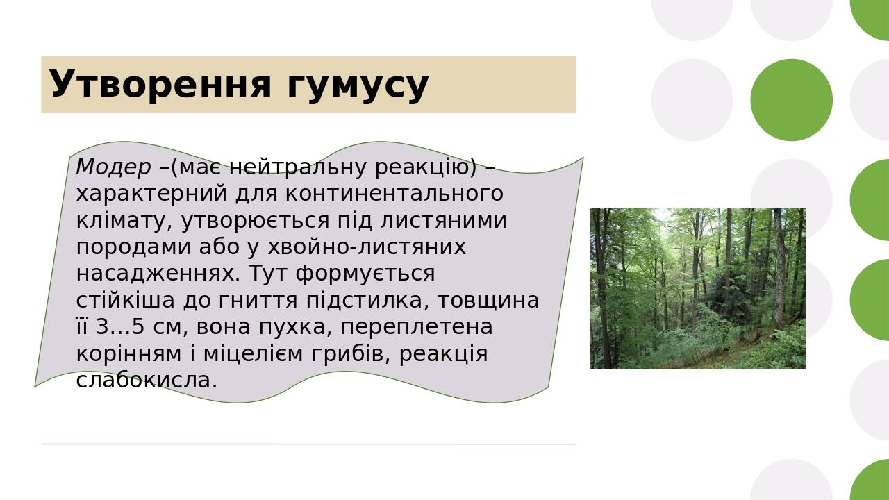 Утворення гумусу Модер –(має нейтральну реакцію) – характерний для континентального клімату, утворюється під листяними породами або у хвойно-листян...