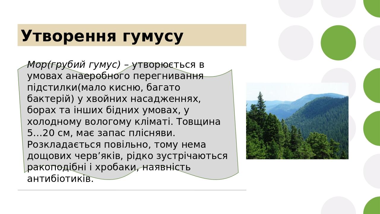 Утворення гумусу Мор(грубий гумус) – утворюється в умовах анаеробного перегнивання підстилки(мало кисню, багато бактерій) у хвойних насадженнях, бо...