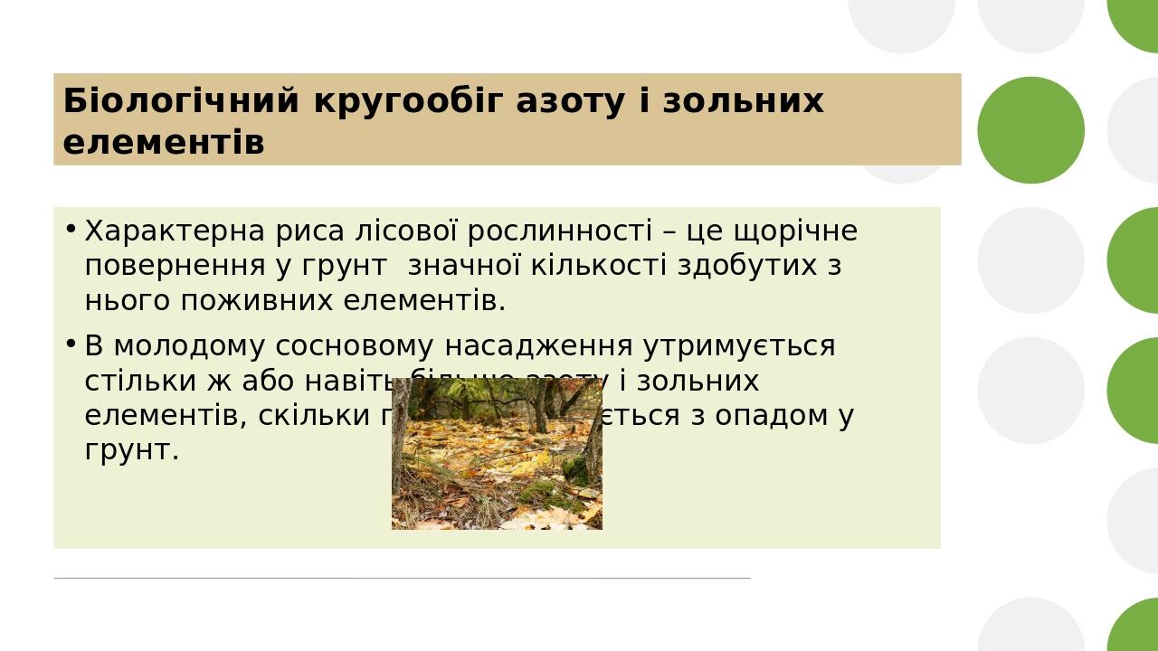 Характерна риса лісової рослинності – це щорічне повернення у грунт значної кількості здобутих з нього поживних елементів. В молодому сосновому нас...