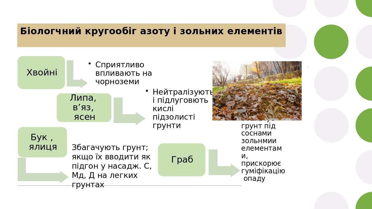 Біологчний кругообіг азоту і зольних елементів Збагачують грунт; якщо їх вводити як підгон у насадж. С, Мд, Д на легких грунтах