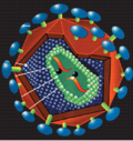 02015ns5-53b4-120x127.png