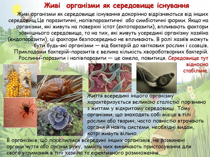 Презентація &quot;Середовища існування організмів&quot;