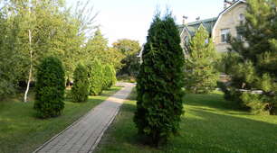 Запалення