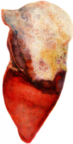 02015sar-90ce-144x281.png