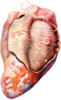 02015say-82ee-122x198.png