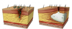 02015scb-aab3-285x118.png