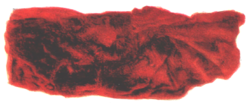 02015scl-2af4-252x103.png