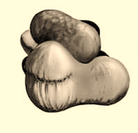 02015uk9-e109-198x192.png