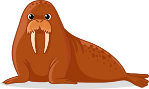 02015v5d-697b-300x181.png