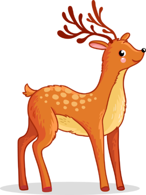 02015v5f-f43d-300x402.png