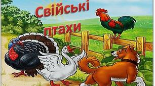 Конспект інтегрованого заняття з дітьми середньої групи «Наші добрі друзі. Домашні птахи »