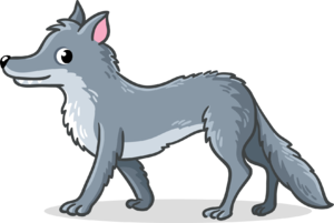 02015v84-c466-300x201.png