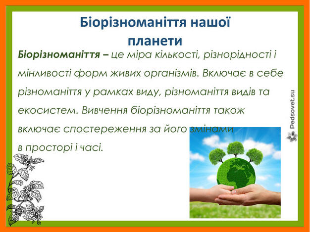 Презентація "Біорізноманіття нашої планети як наслідок еволюції. Рослини"