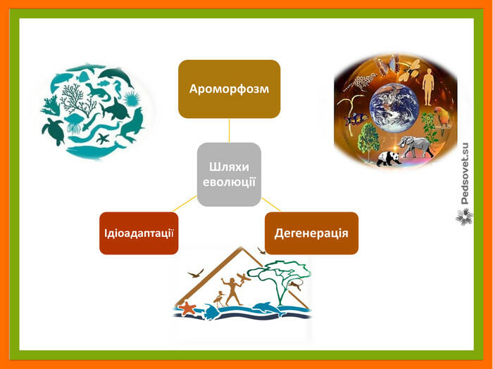 Презентація "Біорізноманіття нашої планети як наслідок еволюції. Рослини"
