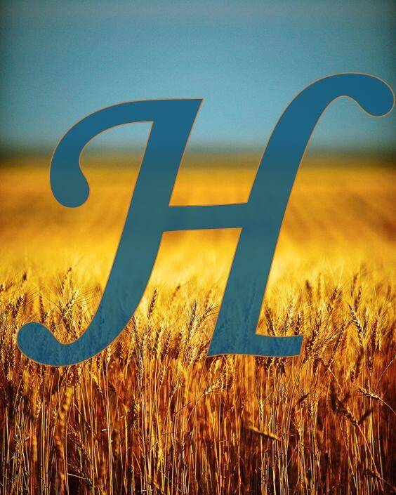 02015x4c-f7e8-564x705.jpg