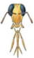 02015yzt-5dd2-49x83.png