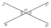 020161kp-1e88-173x95.png
