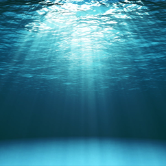 020163o1-6fb7-242x242.png
