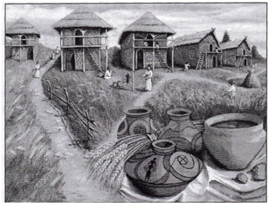 020164z5-08b8-271x207.png