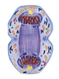 0201658b-902a-197x261.png