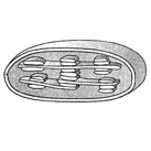 020165sy-b69c-137x137.png