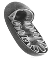 020165ug-36c5-107x122.png