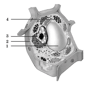 020165up-e9b6-312x288.png