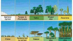 Природні зони світу