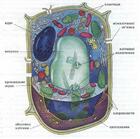 02016895-ac9d-140x139.jpg
