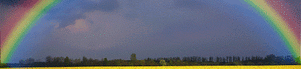 020168c9-8f1b-301x69.gif