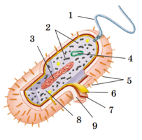 020168d3-dc5f-303x299.png
