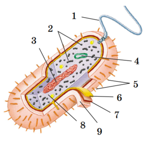 020168d3-dc5f-303x299.png