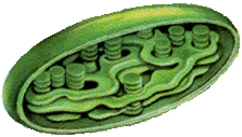 020168dv-f6b5-223x127.gif