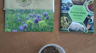 Захід «Seedboom. Весна 2021»