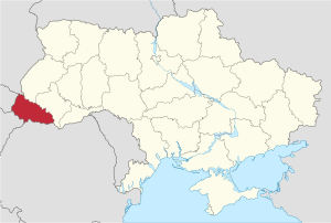 020168u0-425b-300x202.png