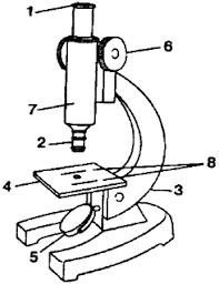 02016a2b-d92c-197x256.png