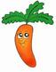 Картинки морковь: распечатать или скачать бесплатно | Printonic.ru