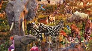 Tierwelt 