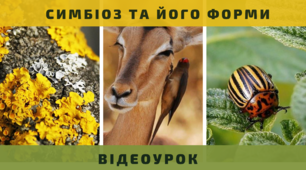 Презентація на тему "Симбіоз та його форми"