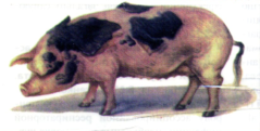02016epq-e254-239x121.png