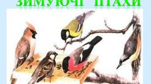 Інтерактивна гра "Зимуючі птахи"