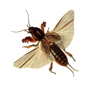 02016iky-b95f-308x309.png