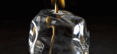 02016l16-be22-240x111.gif