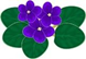 02016mdv-49a3-78x54.png