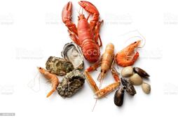 Морепродукты Омары Лангустин Креветки Устрицы Мидии И Моллюски На Белом — стоковые фотографии и другие картинки Морепродукты - iStock