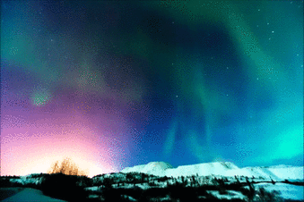 02016mro-1224-339x226.gif